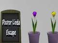 Mchezo Kukwe ya Daktari Linda online