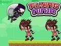 Mchezo Ninja Anayepepea online