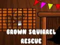 Mchezo Uokoaji Squirrel ya Brown online