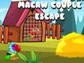 Mchezo Kukuzu Mchezaji wa Macaw online