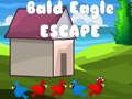 Mchezo Bald Eagle Kutoroka online
