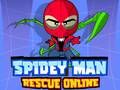 Mchezo Koko Spidey Mtu Wokovu Mkondoni online