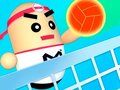Mchezo 3D Ajabu Volleyboll online