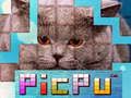 Mchezo PicPu Paka online