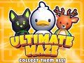 Mchezo Ultimate Labirinth! Kusanya zote! online