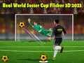 Mchezo Kombe la Ulimwengu la Soka la Kweli Flicker 3D 2023 online Mchezo Kombe la Ulimwengu la Soka la Kweli Flicker 3D 2023 online