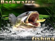 Mchezo Kuv fishing katika maji ya tulivu online Mchezo Kuv fishing katika maji ya tulivu online