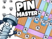 Mchezo Mwalimu wa Pin online