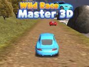 Mchezo Mstar wa Mbio za Mwitu 3D online