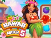 Mchezo Hawaii Mechi 5 online