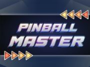 Mchezo Mwalimu wa Pinball online Mchezo Mwalimu wa Pinball online