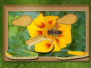 Mchezo Tafuta na urejeshe: Puzzle iliyofichwa online