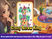 Mchezo Crazy Screw King online