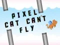 Mchezo Paka wa pixel hawezi kuruka online