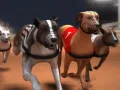 Mchezo Mashindano ya Greyhound online