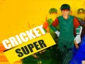 Mchezo Kricket Bora online