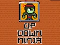 Mchezo Ninja Juu Chini online