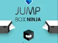 Mchezo Ninja Sanduku la Kuruka online