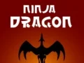 Mchezo Ninja Joka online