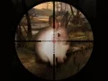 Mchezo Winda Klasiki wa Sungura Sniper 2019 online