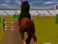 Mchezo Farasi Akiuka 3D online