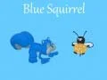 Mchezo Squirrel Buluu online