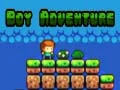 Mchezo Adventure ya Kijana online