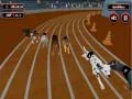 Mchezo Homa ya Mashindano ya Mbwa wa Crazyl  online