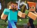 Mchezo Minecraft Vitu Vili iliyofichwa online
