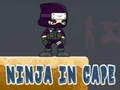 Mchezo Ninja katika Kofia online