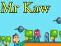 Mchezo Bw. Kaw online