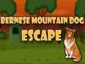 Mchezo Bernese Mountain Dog Escape  online