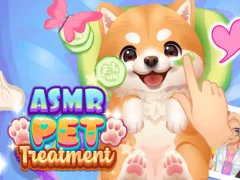 Mchezo Matibabu ya ASMR PET online
