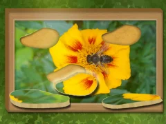 Mchezo Tafuta na urejeshe: Puzzle iliyofichwa online