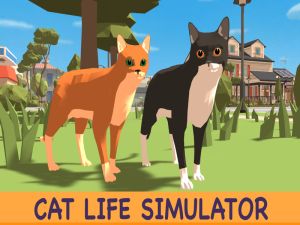 Mchezo Paka Simulator online