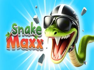 Mchezo Nyoka Maxx online