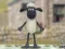 Mchezo Shaun Mchungaji: Jumper wa Woolly! online
