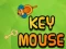 Mchezo Key Panya online