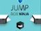 Mchezo Ninja Sanduku la Kuruka online