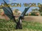 Mchezo Ulimwengu wa Dragon online Mchezo Ulimwengu wa Dragon online