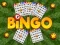 Mchezo Bingo online