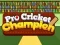 Mchezo Pro Cricket Bingwa online
