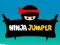 Mchezo Ninja Kuruka online