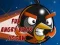 Mchezo Picha ya Kufurahisha ya Angry Birds online