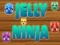 Mchezo Ninja Jelly online