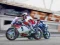 Mchezo Super Bike Kimbia ya Wanyama online