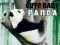 Mchezo Panda Mtoto Mrembo online