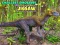 Mchezo Picha ya puzzle ya dinosaur mdogo online