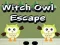 Mchezo Mchawi Owl Escape  online