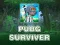 Mchezo PUBG Mshindi online